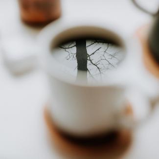 a coffee cup with a reflection of a tree in it by Ben Kolde courtesy of Unsplash.